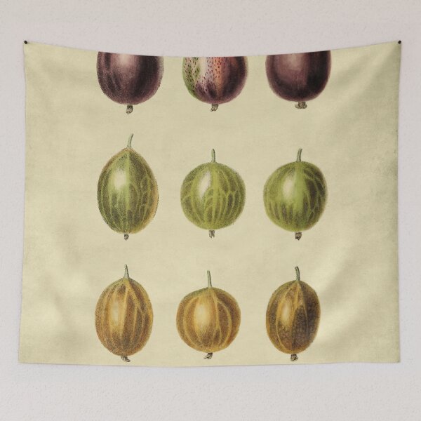 Item preview, English Gooseberries With Description designed and sold by ptMaker.