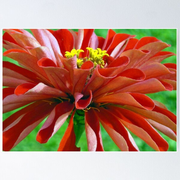 Item preview, Lady in Red designed and sold by Charlotte Hertler.