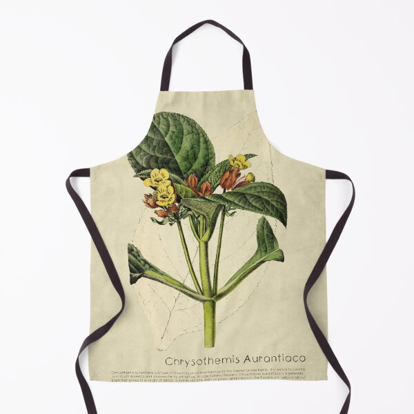 Item preview, Chrysothemis  Aurantiaca With Description designed and sold by ptMaker.