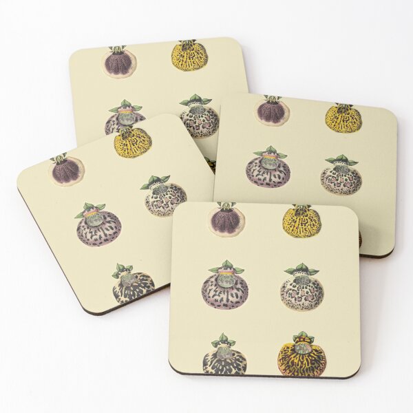 Item preview, Calceolaires Varieties designed and sold by ptMaker.