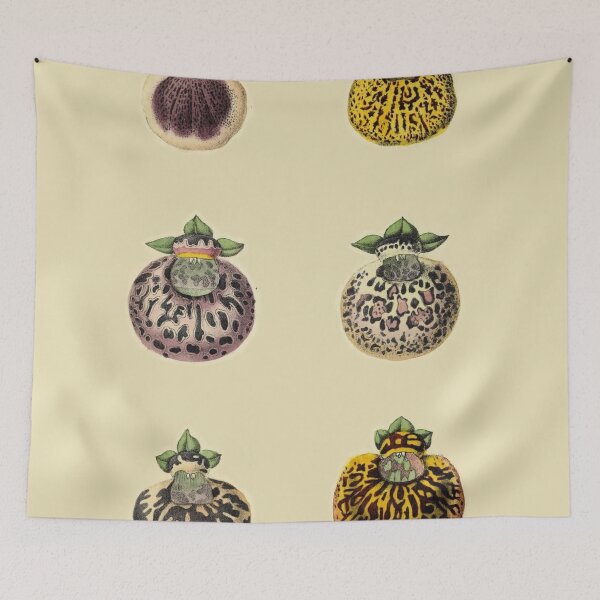 Item preview, Calceolaires Varieties designed and sold by ptMaker.