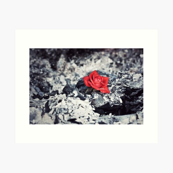 Beauty Rises from the Ashes Art Print