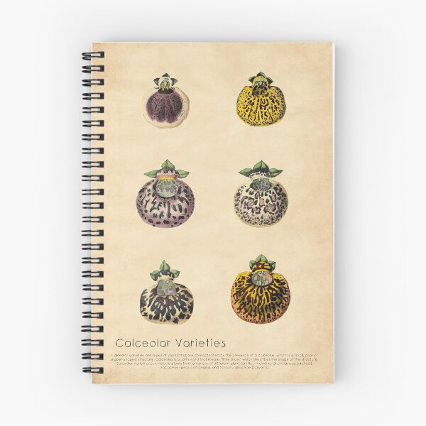 Item preview, Calceolaires Varieties With Details designed and sold by ptMaker.
