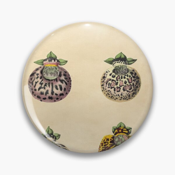 Item preview, Calceolaires Varieties With Details designed and sold by ptMaker.