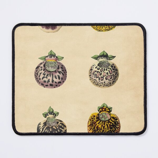 Item preview, Calceolaires Varieties With Details designed and sold by ptMaker.