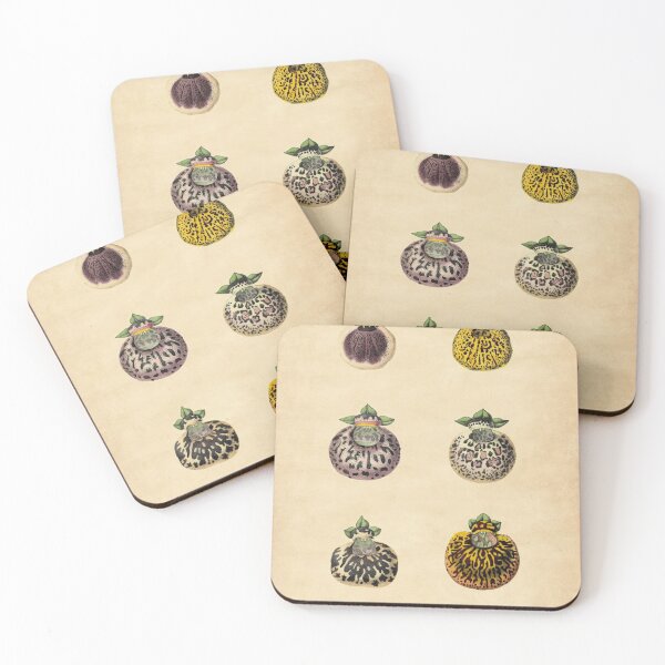 Item preview, Calceolaires Varieties With Details designed and sold by ptMaker.
