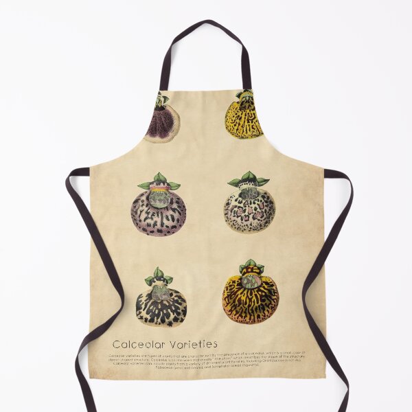 Item preview, Calceolaires Varieties With Details designed and sold by ptMaker.