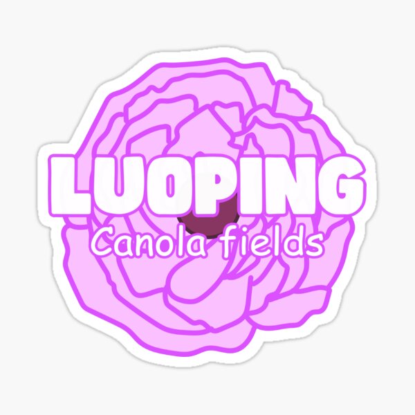 Luoping Canola Fields In Purple Sticker For Sale By Aerodin Redbubble