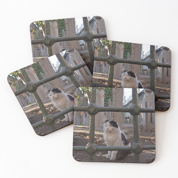 Item preview, Street cat in Istanbul designed and sold by Random Railways.