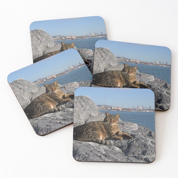 Aperçu de l'œuvre Chat de rue à Istanbul relaxant sur les rochers au bord du Bosphore créée et vendue par Random Railways.