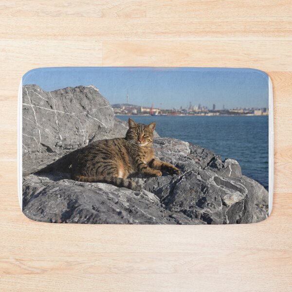 Item preview, Street cat in Istanbul relaxing on the rocks by the Bosphorus designed and sold by Random Railways.