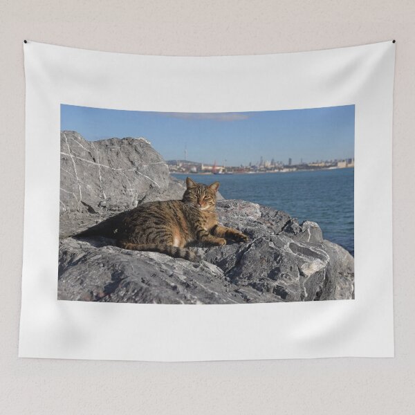 Item preview, Street cat in Istanbul relaxing on the rocks by the Bosphorus designed and sold by Random Railways.