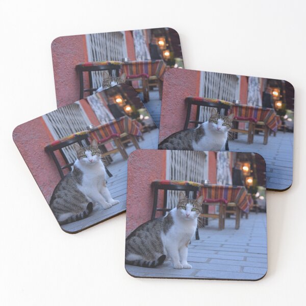 Item preview, Street cat in Istanbul, Turkey designed and sold by Random Railways.