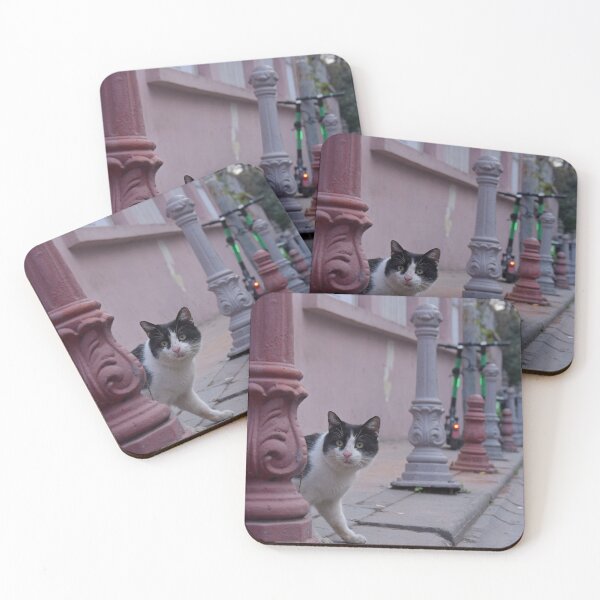 Item preview, Street cat in Istanbul, Turkey designed and sold by Random Railways.