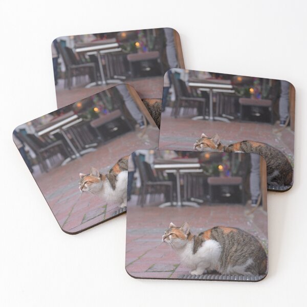 Item preview, Street cat in Istanbul, Turkey designed and sold by Random Railways.