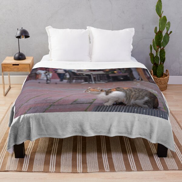 Item preview, Street cat in Istanbul, Turkey designed and sold by Random Railways.
