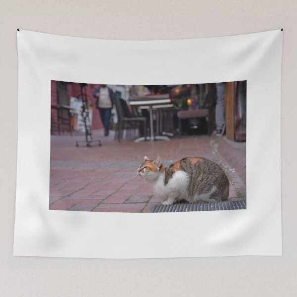 Item preview, Street cat in Istanbul, Turkey designed and sold by Random Railways.