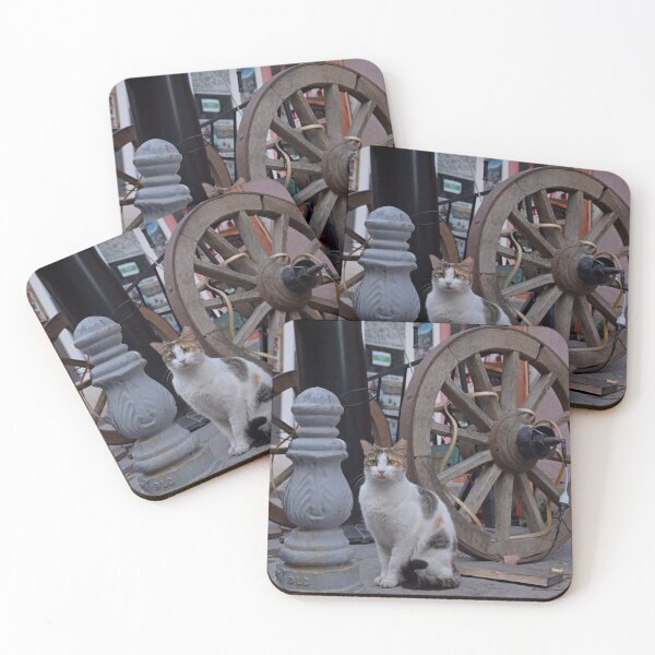 Item preview, Street cat in Istanbul, Turkey designed and sold by Random Railways.