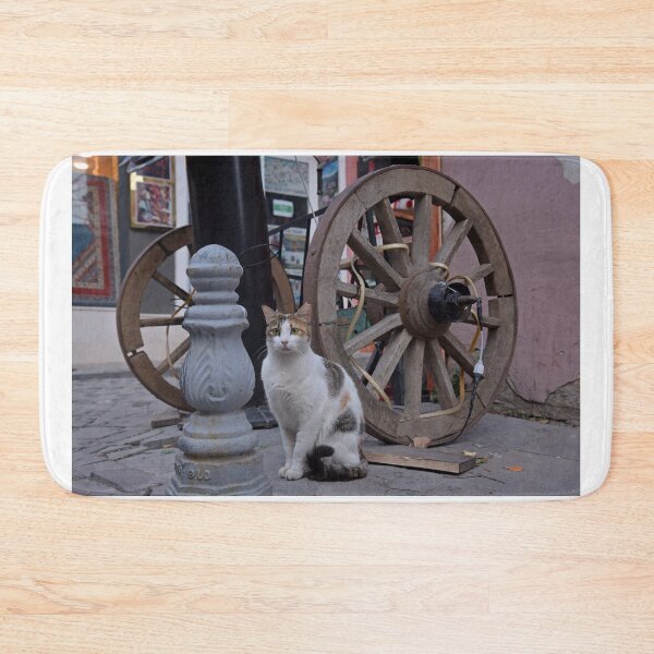 Item preview, Street cat in Istanbul, Turkey designed and sold by Random Railways.