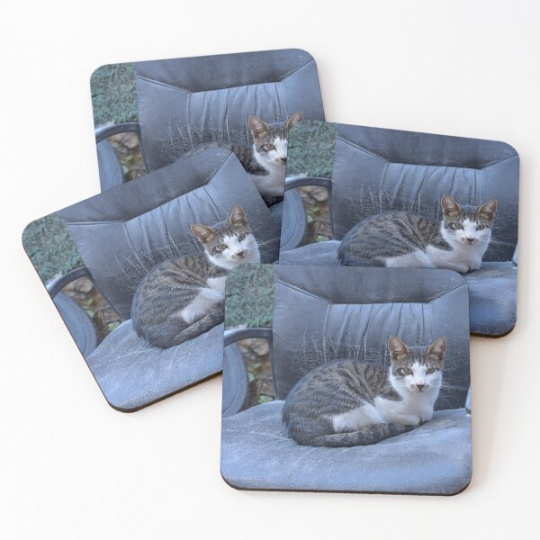 Item preview, Street cat in Istanbul, Turkey designed and sold by Random Railways.