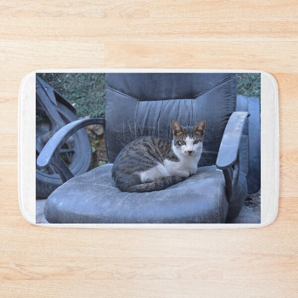 Item preview, Street cat in Istanbul, Turkey designed and sold by Random Railways.