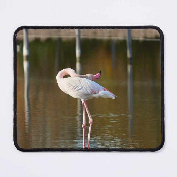 The flamingo's gymnastics Mouse Pad