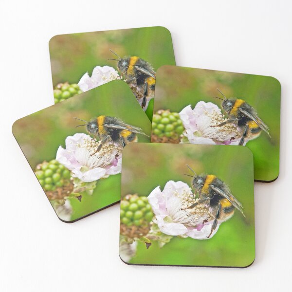 Item preview, Bumble Bee on Blackberry Flower Springtime designed and sold by Cameranick.