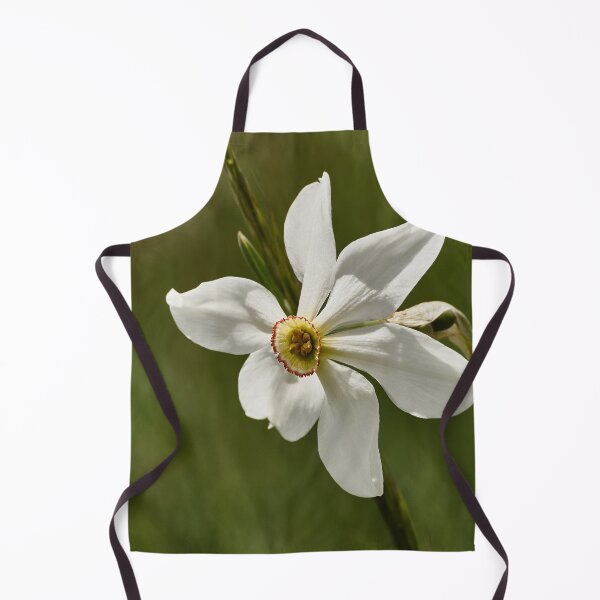 Item preview, Grandalla designed and sold by joan manel zamora.