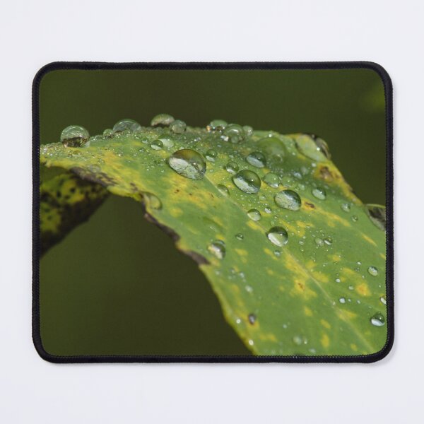 Item preview, drops designed and sold by joan manel zamora.