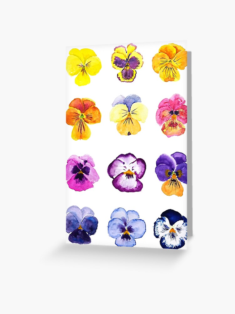 Pansies Bunch | Greeting Card Pansies Bunch | Greeting Card