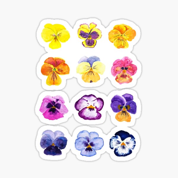 Item preview, hand painted Colorful pansies collection watercolor painting  designed and sold by ColorandColor.