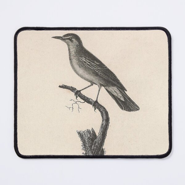 Item preview, The Olive Warbler designed and sold by ptMaker.