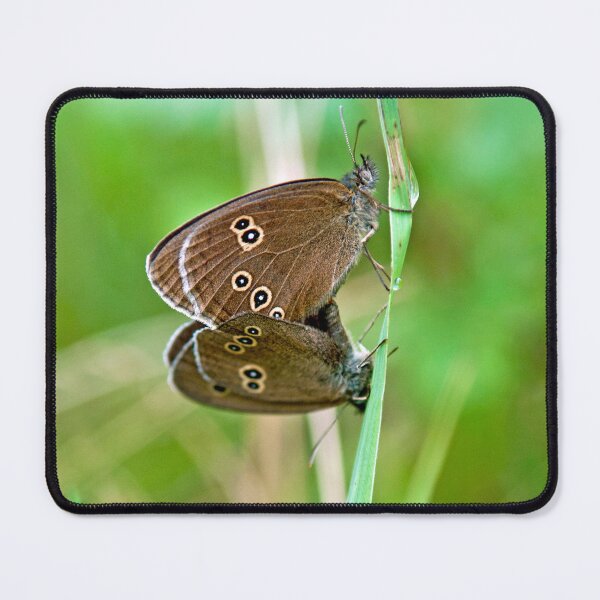 Item preview, Ringlet Butterlies Procreating!  designed and sold by Cameranick.
