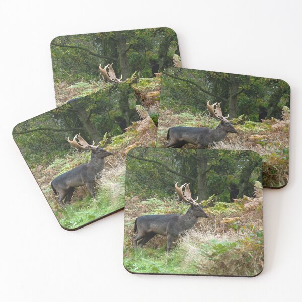 Item preview, Fallow Deer on Cannock Chase Staffordshire designed and sold by Cameranick.