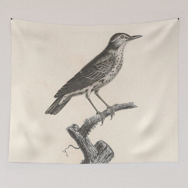 Item preview, The Brown Warbler designed and sold by ptMaker.