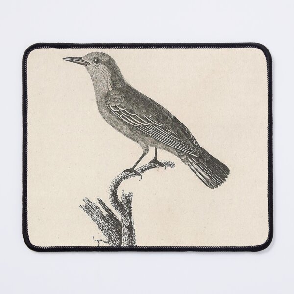 Item preview, The Prothonotary Warbler designed and sold by ptMaker.