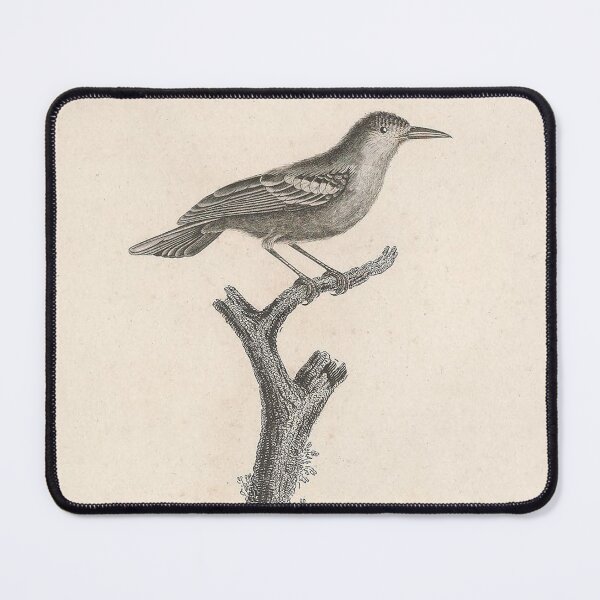 Item preview, The Leucopteran Warbler designed and sold by ptMaker.