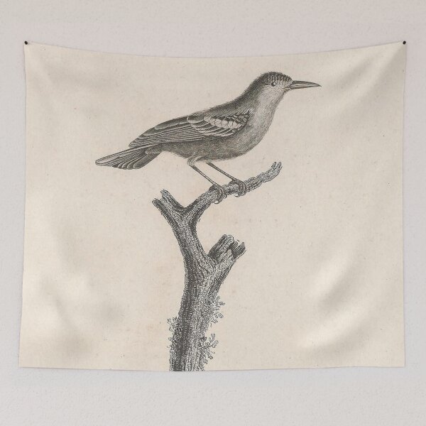 Item preview, The Leucopteran Warbler designed and sold by ptMaker.