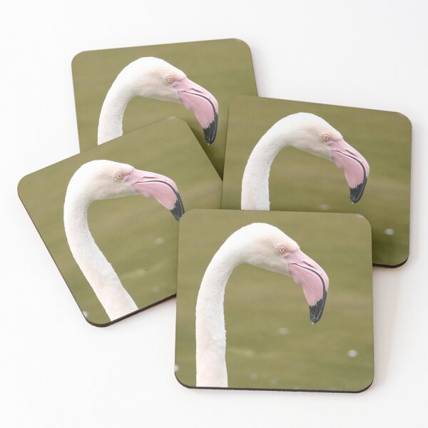 Item preview, Greater Flamingo designed and sold by aquabella.