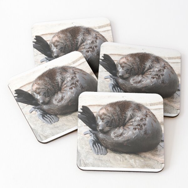 Item preview, South American Fur Seal  designed and sold by aquabella.