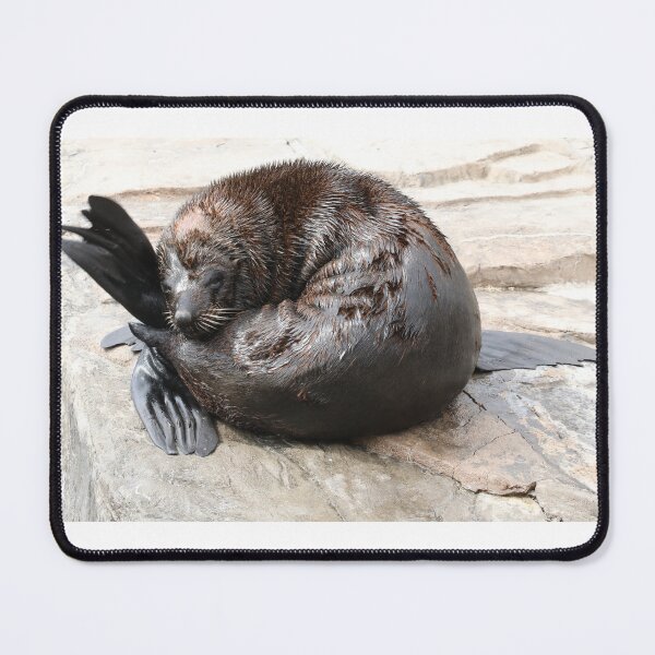 Item preview, South American Fur Seal  designed and sold by aquabella.