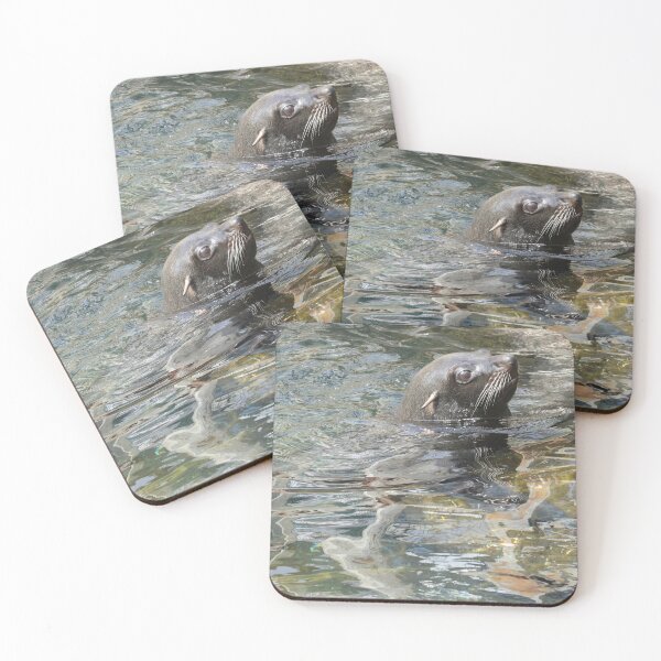 Item preview, South American Fur Seal designed and sold by aquabella.