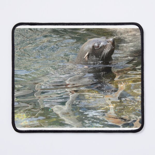 Item preview, South American Fur Seal designed and sold by aquabella.