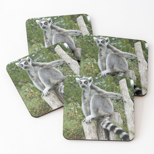Item preview, Ring Tailed Lemur  designed and sold by aquabella.