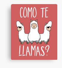 Cute Funny Llama Lover Pun Canvas Print