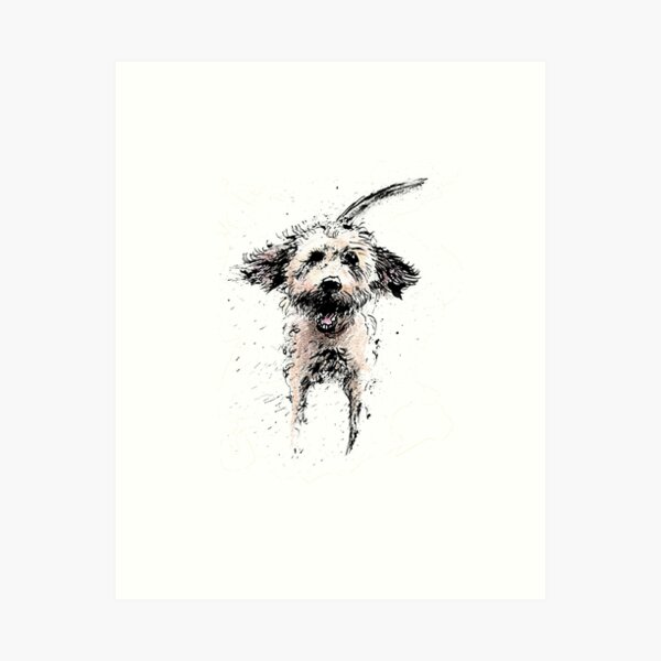 Labradoodle Larking! Art Print