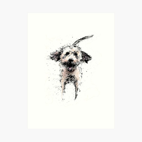 Labradoodle Larking! Art Print
