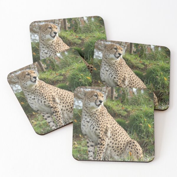 Item preview, Cheetah designed and sold by aquabella.