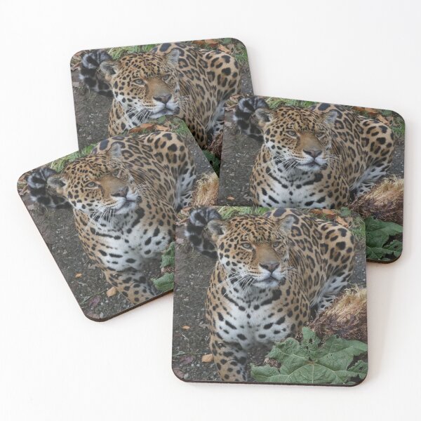 Item preview, Chincha designed and sold by aquabella.