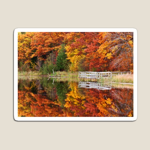 Fall Colors at Lake Shumway Magnet
